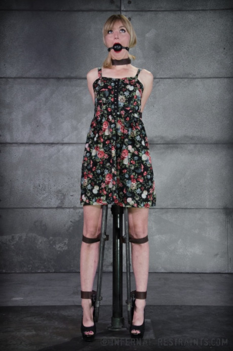 Clothed female Mona Wales finds herself being restrained in a cage
