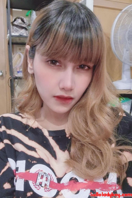 Hello t-girl t-girl Nay