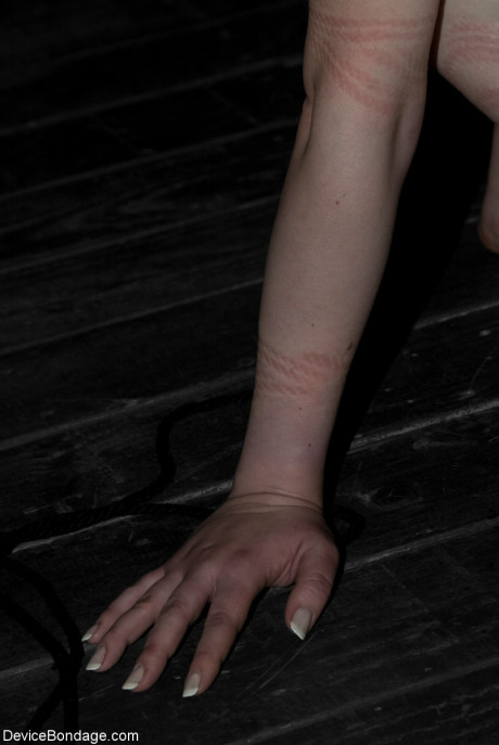 Kinky Trina Michaels & Rain DeGrey have their pussies clamped in bondage