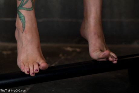 The Training Of O Rain DeGrey, Sir Nik