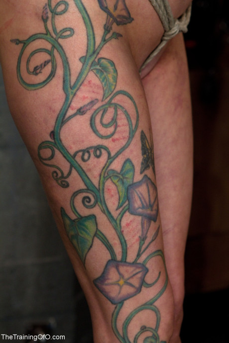 The Training Of O Rain DeGrey, Sir Nik