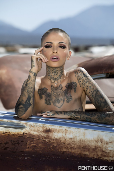 Bald inked babe Leigh Raven flaunts her small boobies and poses naked outdoors