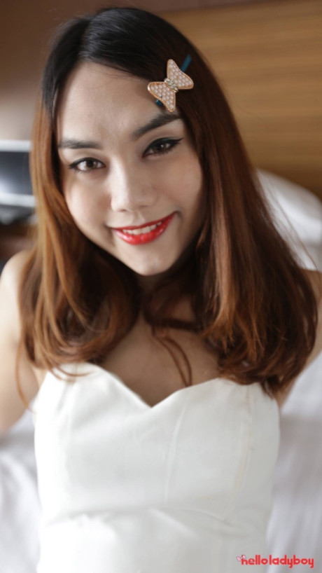 Hello transsexual