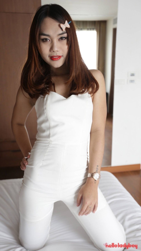 Hello transsexual