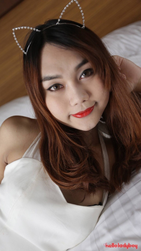 Hello transsexual