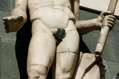 Zishy Aurora Morgenrote