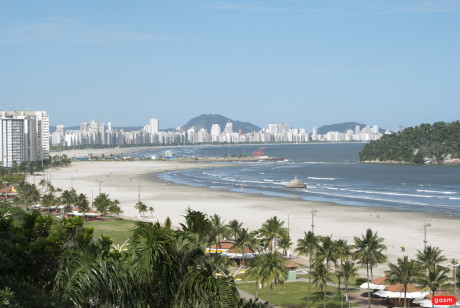 Harmony Vision nanda ferraz