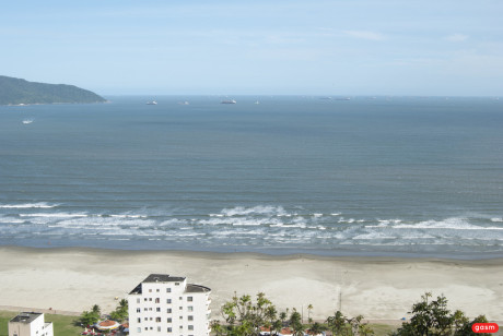 Harmony Vision nanda ferraz