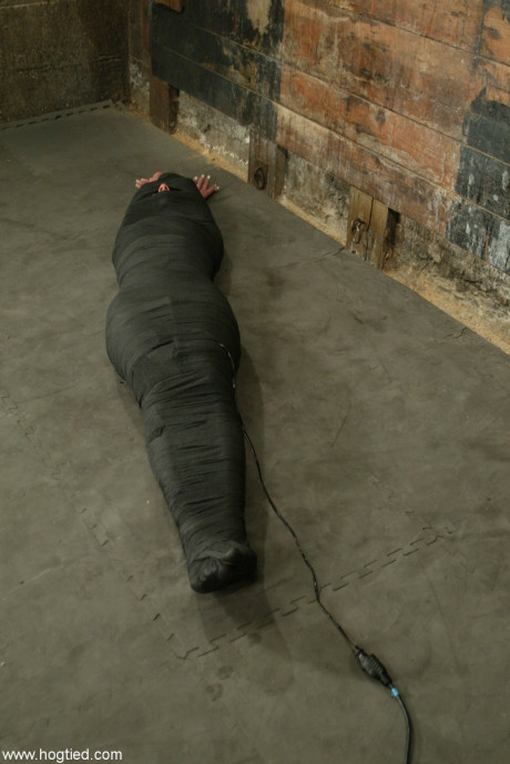 Hogtied Veronika