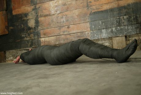 Hogtied Veronika