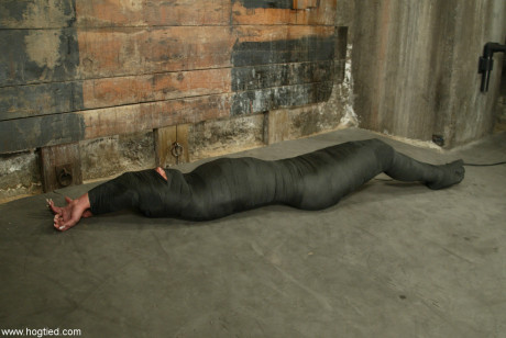 Hogtied Veronika