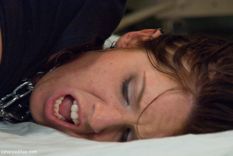 Whipped butt Felony, Tricia Oaks