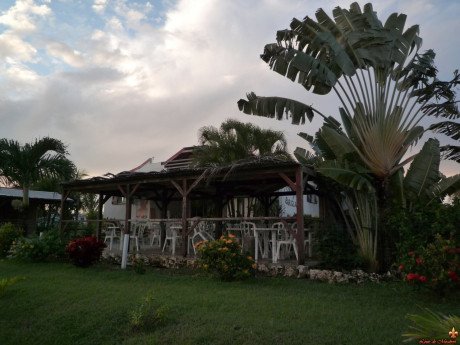 Beautiful girls work free of their swimwear while modeling on a tropical beach