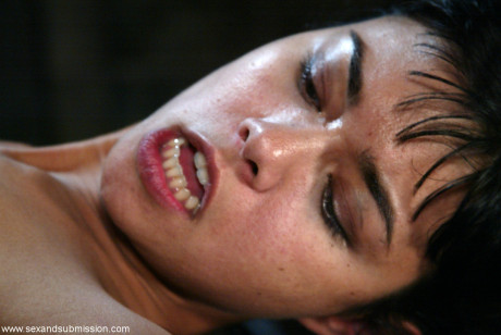 Sex And Submission Chris lovely Dana Vespoli