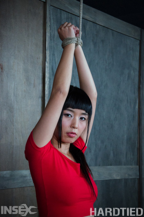 Tiny tied up oriental babe Marica Hase got tortured and humiliated