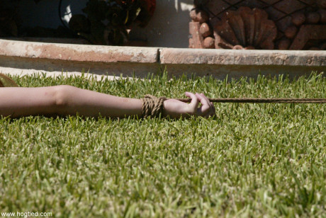 Hogtied Jenni Lee, Madison young teenie Mallory Knots, Sasha Monet, Star
