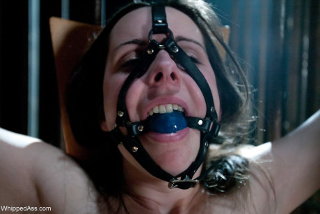 Winter Sky and January Seraph have strapon lesbian sex during bondage action