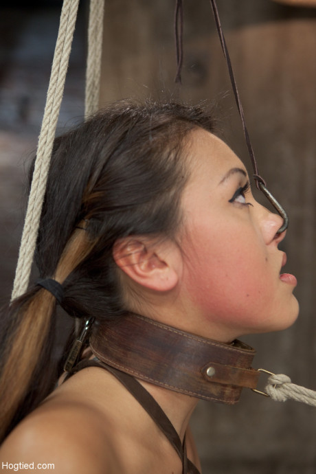 Asian babe with enormous titties Jayden Lee gets restrained and toyed in a dungeon