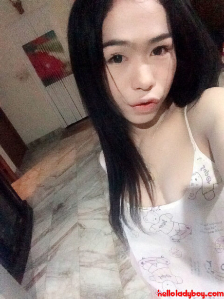Hello transsexual