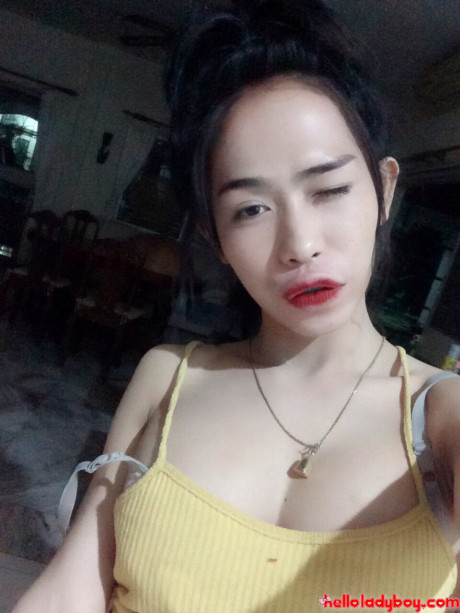 Hello transsexual
