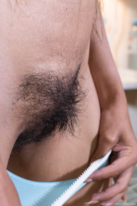 We Are silky Alice Mad,