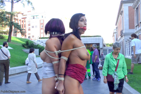Public Disgrace Coral Joice, Julia De Lucia, Sandra Romain, Steve Holmes