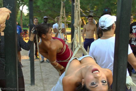 Public Disgrace Coral Joice, Julia De Lucia, Sandra Romain, Steve Holmes
