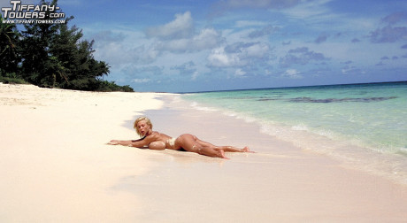 Massive Boob Bundle starring Tiffany Towers naked Images