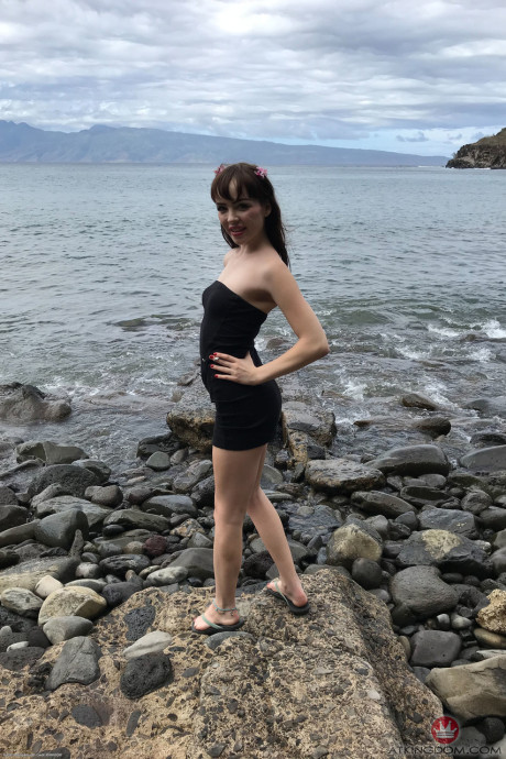 ATK Petites Aliya Brynn