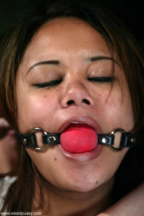 Wired twat Annie Cruz, Ariel X, Harmony
