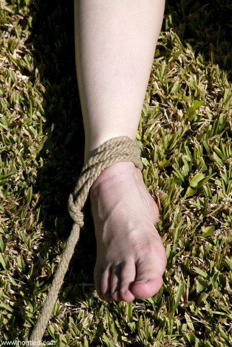 Hogtied Dee Williams, Jenni Lee, Jenya, Princess Donna Dolore, Sgt Major