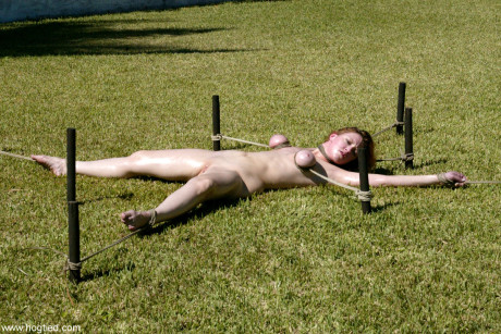 Hogtied Dee Williams, Jenni Lee, Jenya, Princess Donna Dolore, Sgt Major