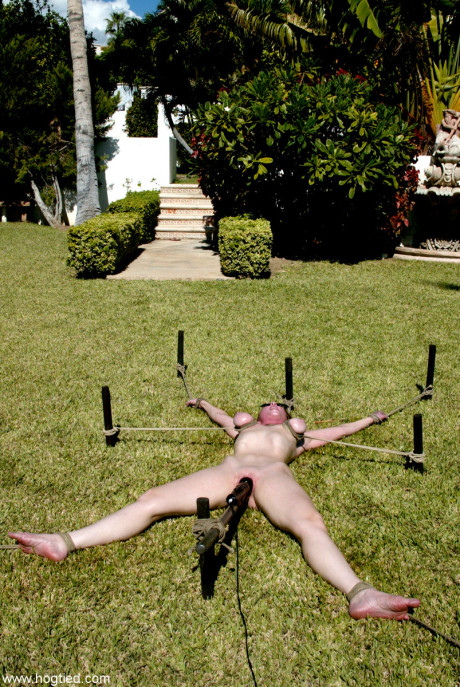 Hogtied Dee Williams, Jenni Lee, Jenya, Princess Donna Dolore, Sgt Major