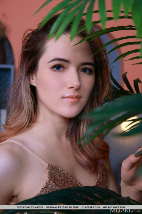 Fresh teen cutie Sofi Roko unzips from an elegant dress to model in the naked