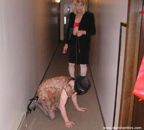 Dominant TVS rod sucking nylon slave