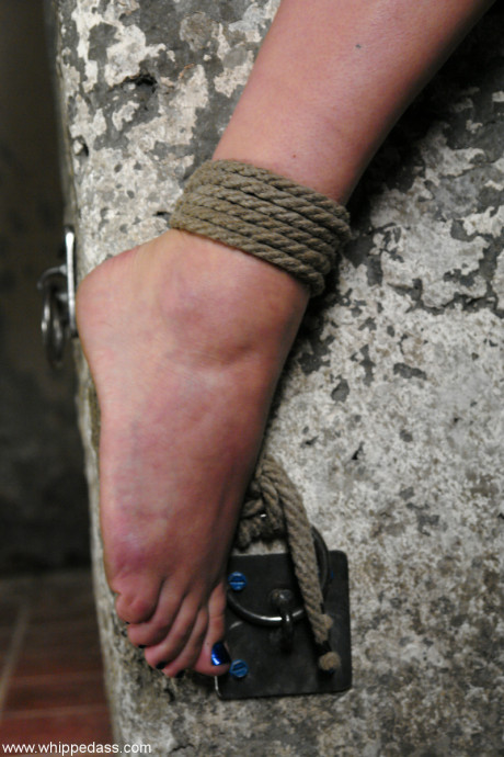 Whipped behind Bobbi Starr, Sandra Romain