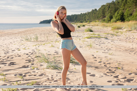 Young young blondie with great melons showcases her smooth vagina on the beach