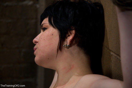 The Training Of O starring Juliette March, Maestro, Sir Nik undressed Pictures