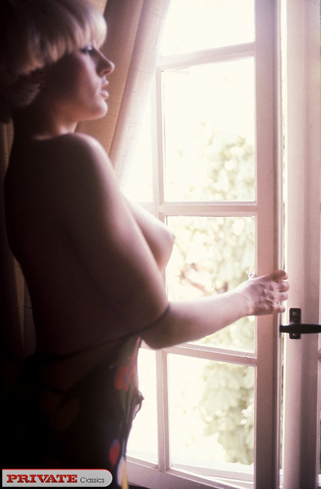 Pornstars from days gone by display their silky pussies and other wares