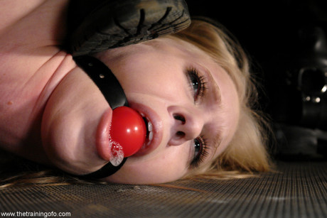 The Training Of O Sarah Jane Ceylon