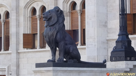 Asian Sex Diary Vikki