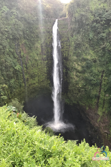 ATK Girlfriends Chloe Foster