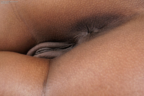 In The Crack  Demi Sutra