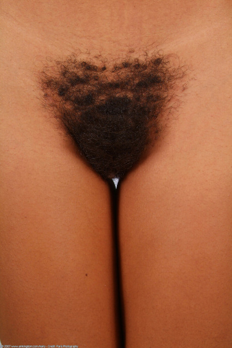 ATK Exotics featuring Diana undressed Pictures