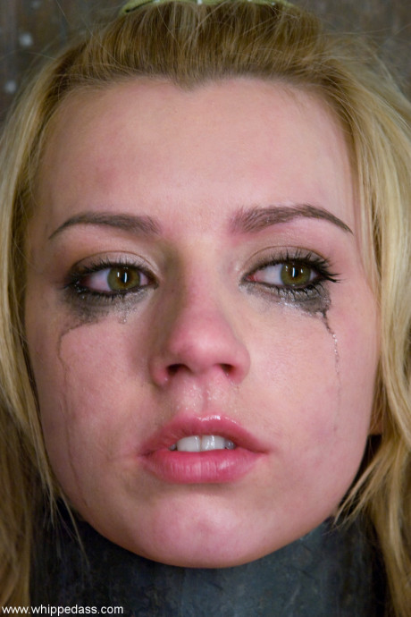 Whipped ass Harmony, Lexi Belle